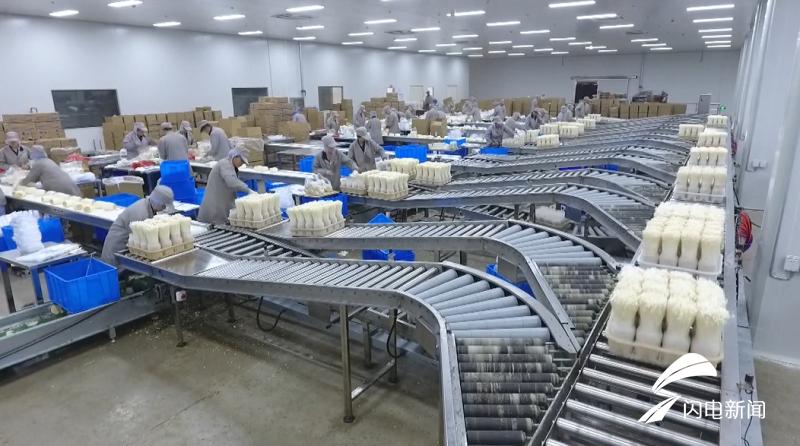 科技扶貧新起點(diǎn)，鄉(xiāng)村振興新篇章——2019年山東農(nóng)業(yè)科技服務(wù)(扶貧)月啟動(dòng)儀式在鄒城盛大舉行